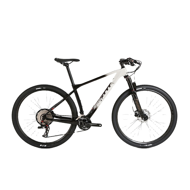Advanced Ultra-Lightweight 29- - đánh giá và giá Mountain Biking Gear