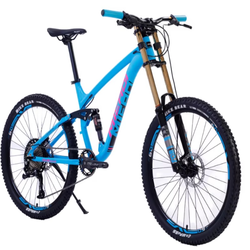 High Quality 24-Inch Dual Disc - đánh giá và giá Mountain Biking Gear