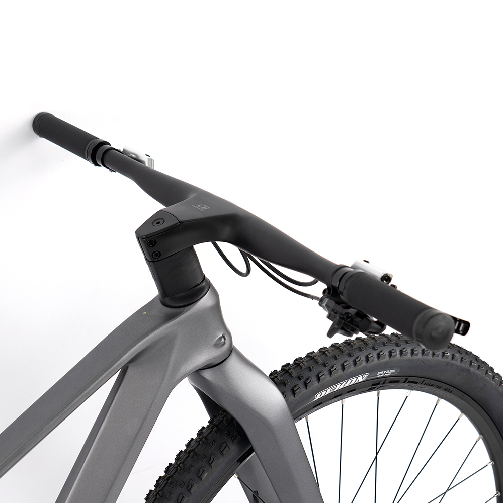 Premium Carbon Mountain Bike w - đánh giá và giá Mountain Biking Gear